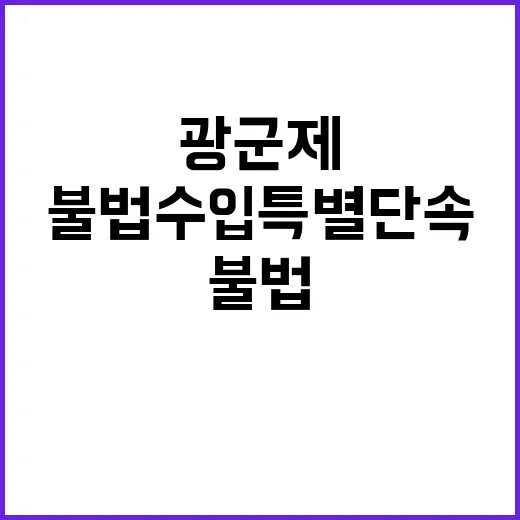 불법수입 특별단속 …