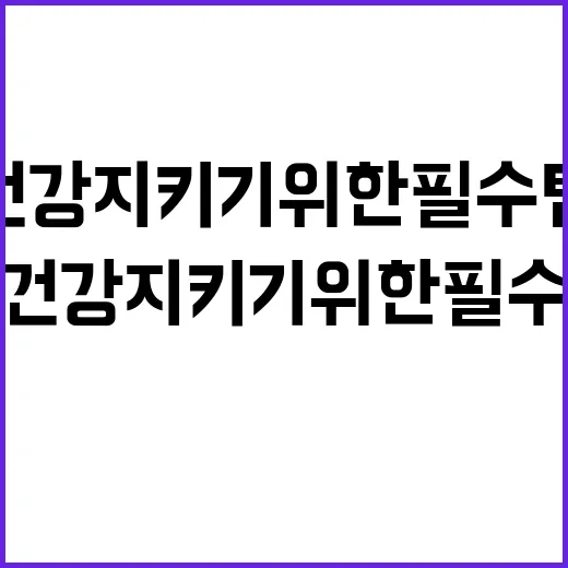 임신부 의약품 사용법 건강 지키기 위한 필수 팁!