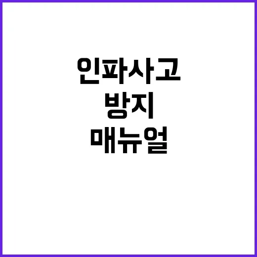 행안부 인파사고 방지 매뉴얼 공개로 안전 강화!