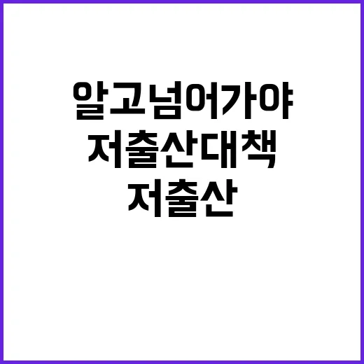 저출산 대책 지금 …