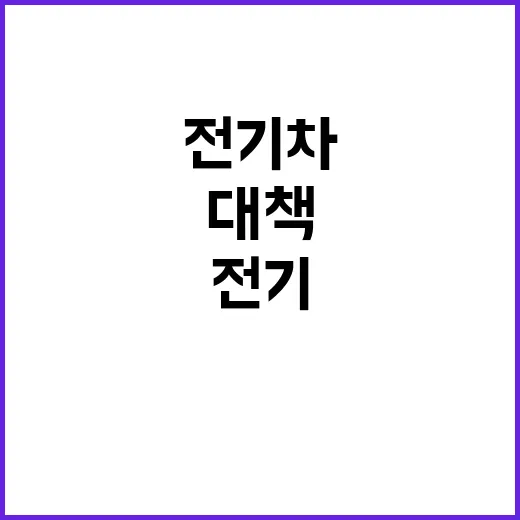 전기차 한 총리의 …