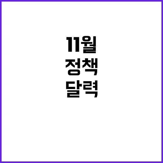 정책달력 11월 변…