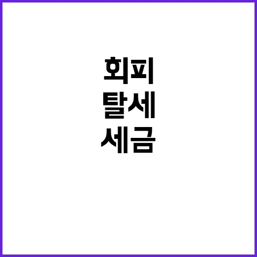 ‘탈세 꼼수’로 세…