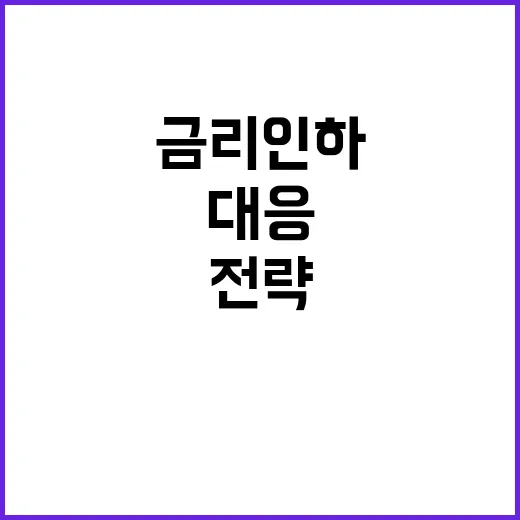 리스크 관리 정부의 대선·금리 인하 대응 전략 공개!