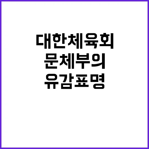 공정성 문체부의 대…