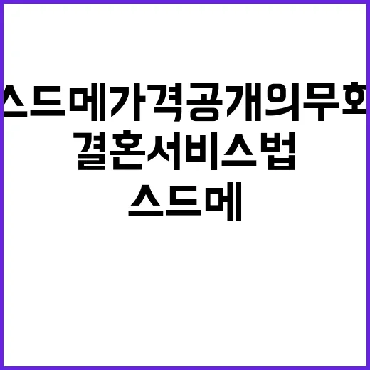 결혼서비스법 스드메…