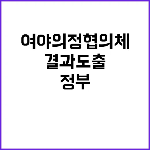 여야의정협의체 결과 도출 시 정부의 요청 수용