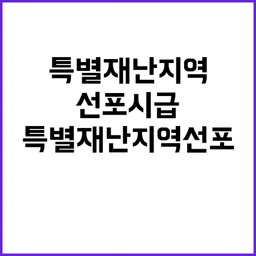 특별재난지역 선포 …