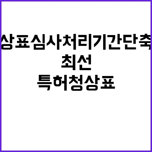 특허청 상표심사 처…