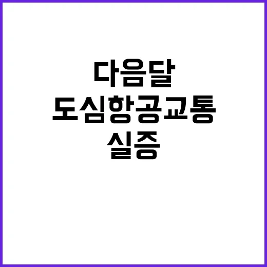 도심항공교통 다음 …