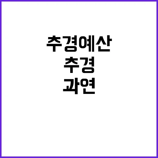 “내년 추경예산 기재부의 의중은 과연 무엇일까?”