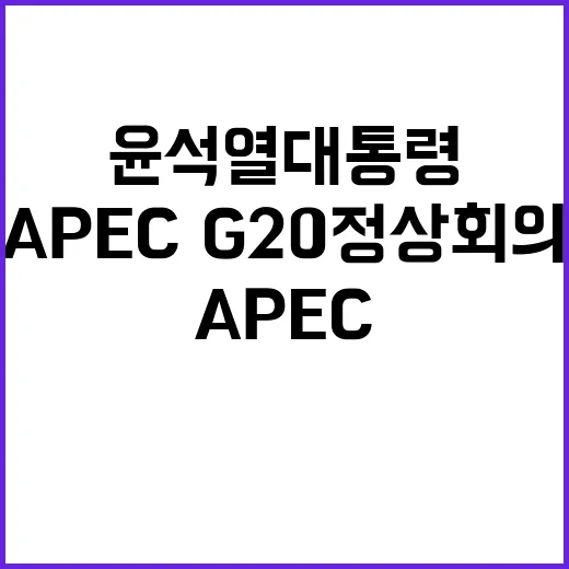 APEC·G20 정상회의 윤석열 대통령의 놀라운 성과 공개!