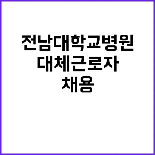 2024년 12월 전남대학교병원 직원(대체근로자) 공개채용 공고