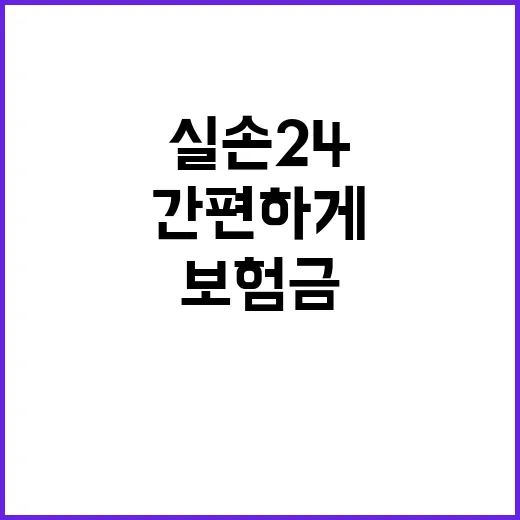 실손보험금 실손24…