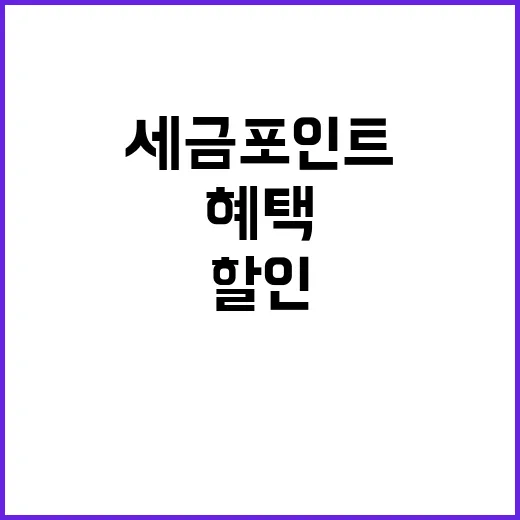 세금포인트 인기 관…