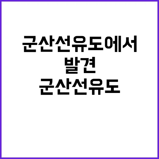 “조선 분청사기 발견! 군산 선유도에서 220점 몰리다”