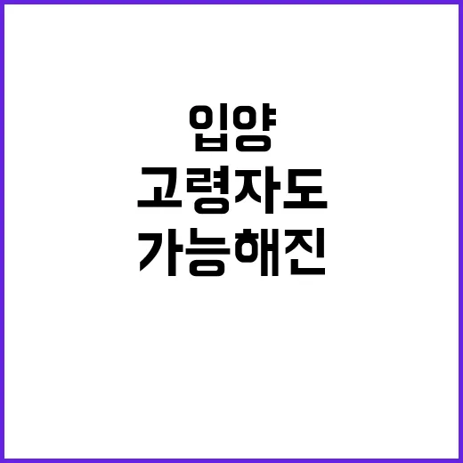 입양 신청 고령자도 가능해진 변화!