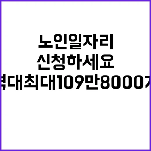 노인일자리 역대 최대 109만 8000개 신청하세요!