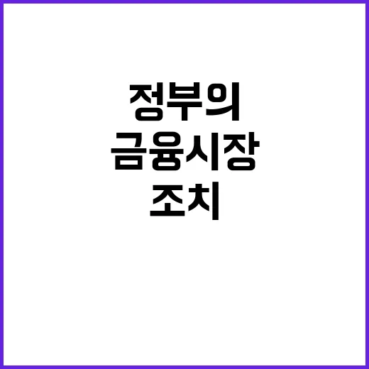 금융시장 정부의 즉각적 조치가 필요하다!