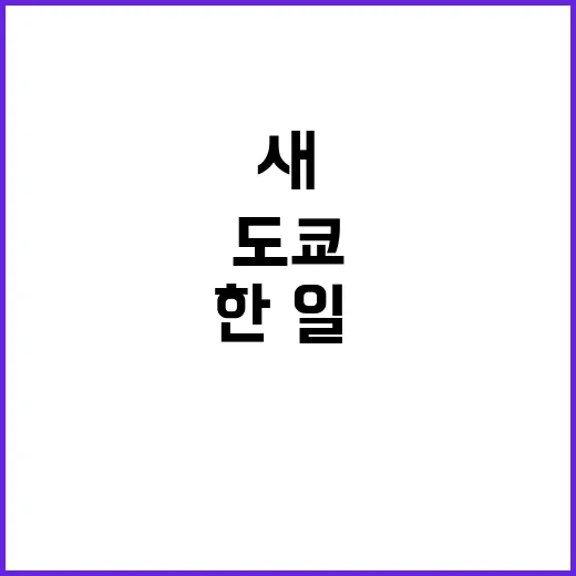 도쿄 공동선언문 한·일·중의 새 이정표!