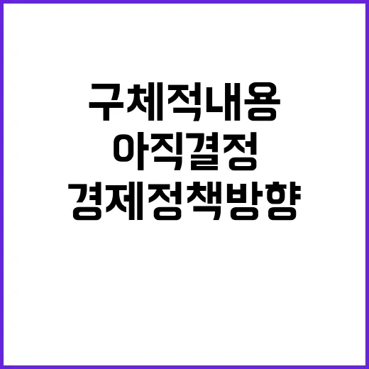 경제정책방향 구체적 내용 아직 결정되지 않은 사실!