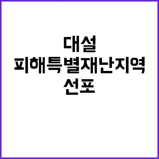 대설피해 특별재난지역 한덕수 권한대행 선포 결정!