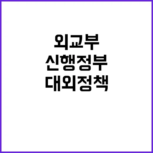 대외정책 외교부 미국 신행정부 TF 출범 소식!