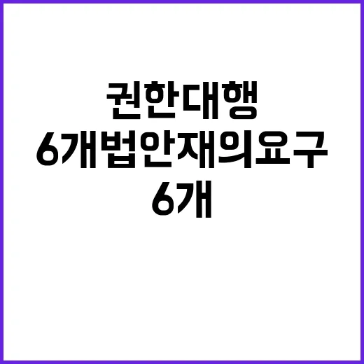 권한대행 6개 법안 재의요구한 이유는 무엇?