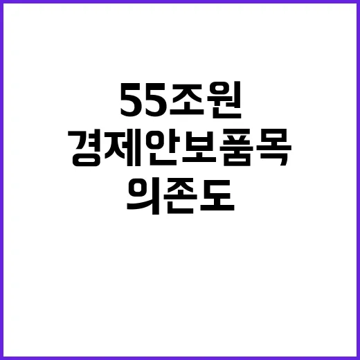 경제안보품목 의존도 감소 55조 원 투자 결정!