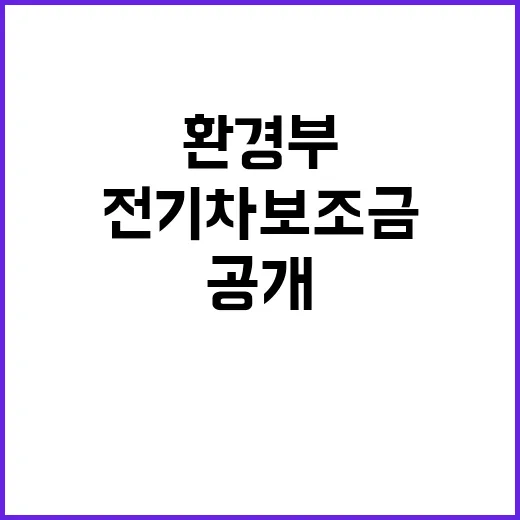 전기차 보조금 환경부의 긴급 시행 계획 공개!