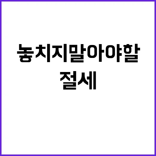 절세 포인트 연말정산에서 놓치지 말아야 할 팁!