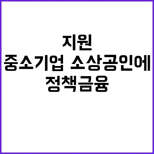 정책금융 내년 중소…