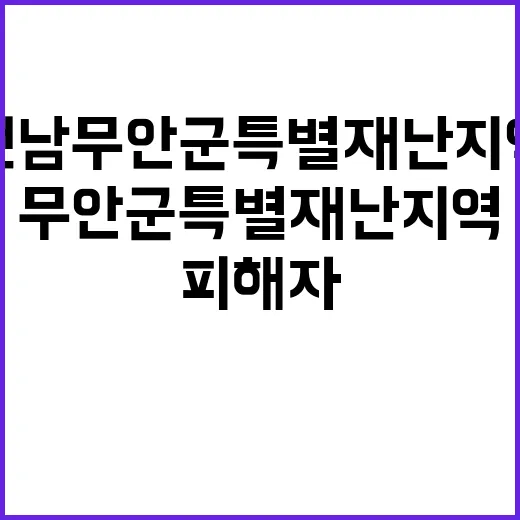 전남 무안군 특별재난지역 피해자 지원 범정부 차원!