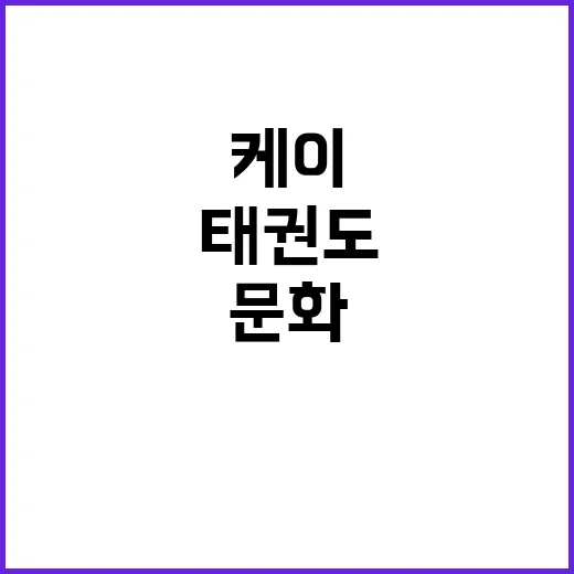 태권도 세계인이 사…