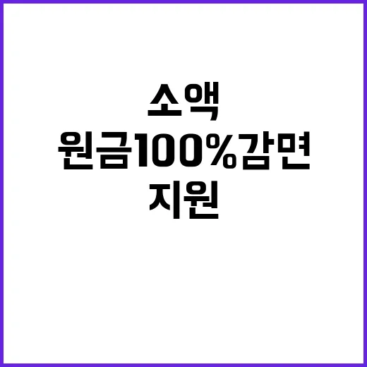 원금 100% 감면…