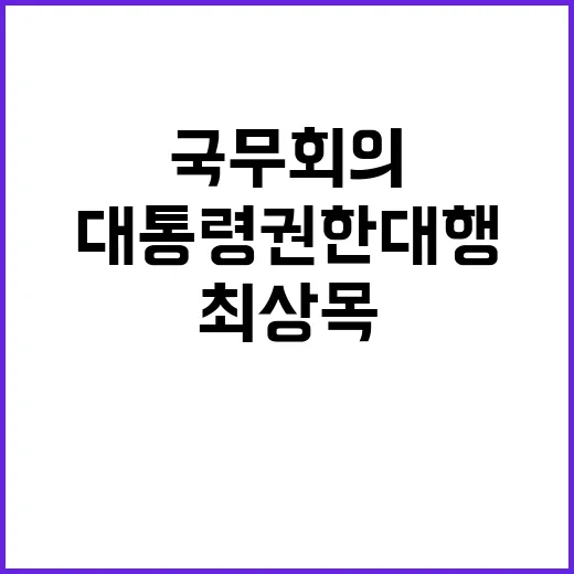 국무회의 최상목 발…