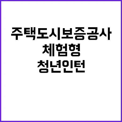 2025년 상반기 주택도시보증공사 체험형 청년인턴 채용공고