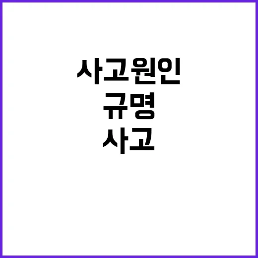 사고원인 규명 권한…