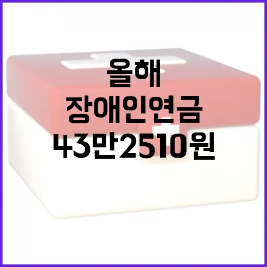 장애인연금 올해 43만 2510원으로 인상!