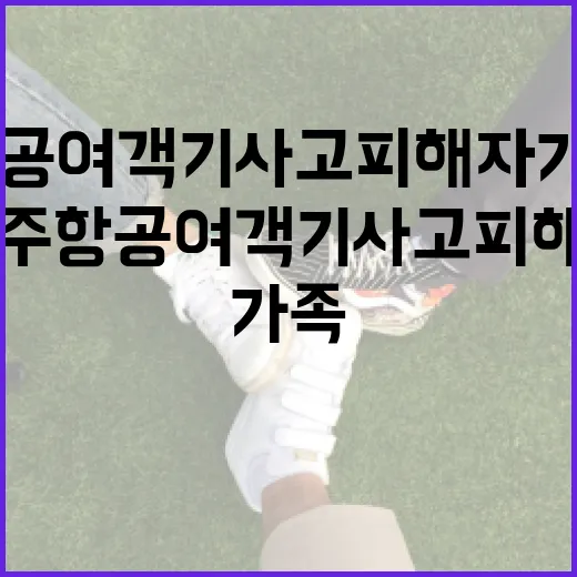 제주항공 여객기 사…