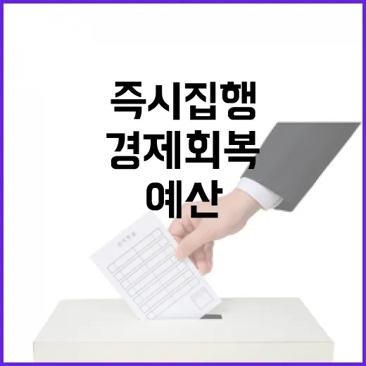 경제 회복 예산 즉시 집행 안전사고 대비 필수!