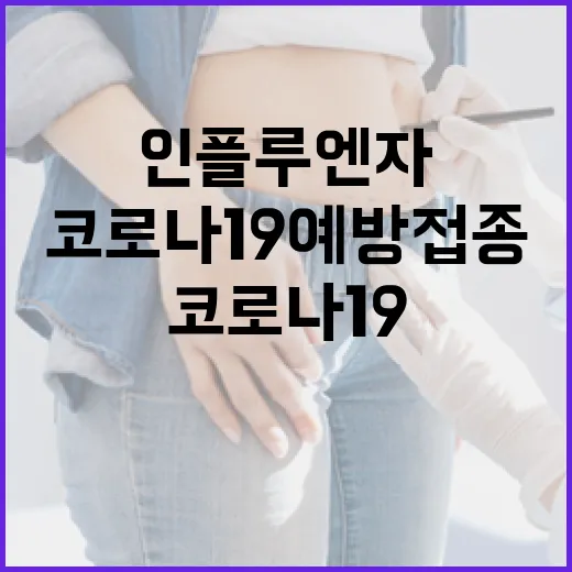 인플루엔자 증가 코…