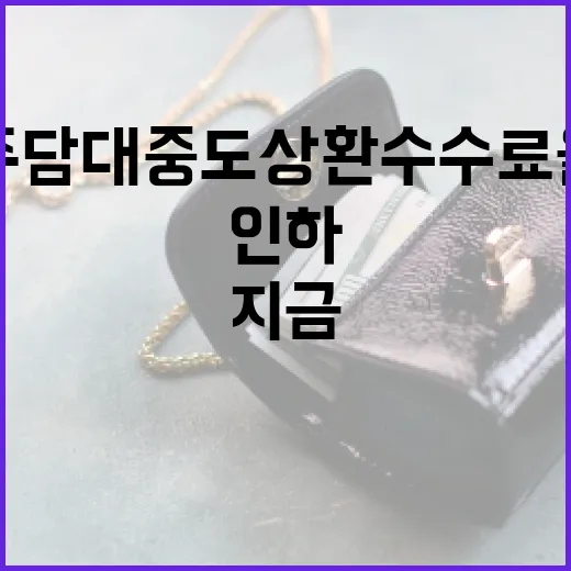 주담대 중도상환수수…