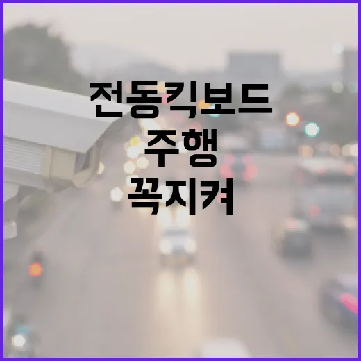 전동킥보드 주행 안…