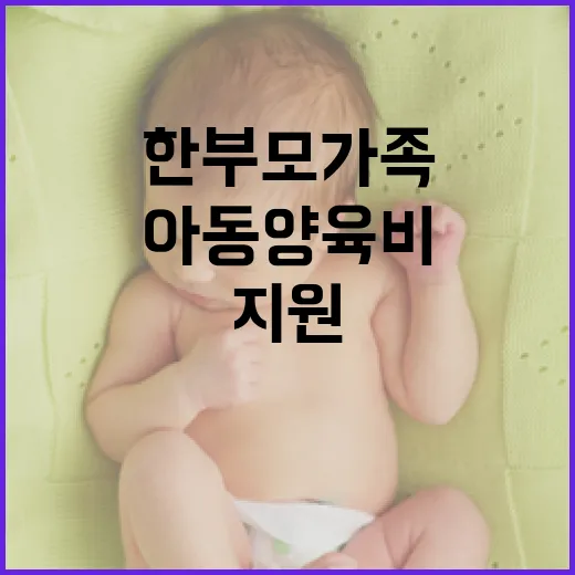 한부모가족 지원 예산 증가 아동양육비 개선!