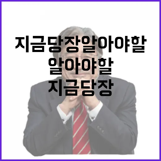 속도와 체감도 지금…