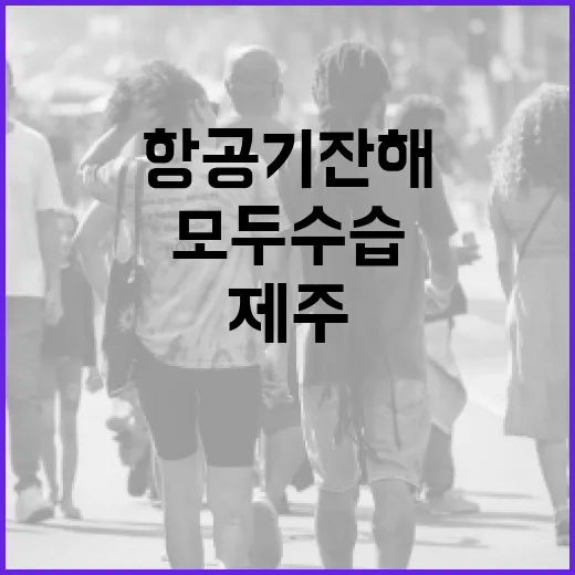 항공기 잔해 제주에서 모두 수습 완료 소식!