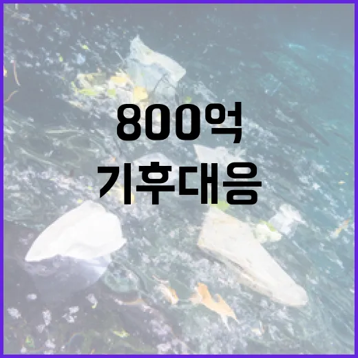 기후대응댐 지원금 600억에서 800억으로 증가!