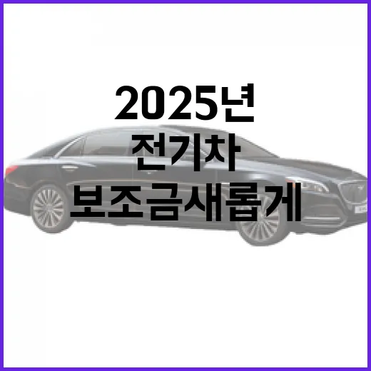 2025년 전기차 구매 보조금 새롭게 변신!