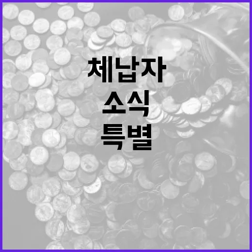 특별재난지역 체납자 출국관리 강화 소식 궁금?